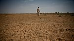 El Niño: The fire and the fury