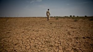El Niño: The fire and the fury