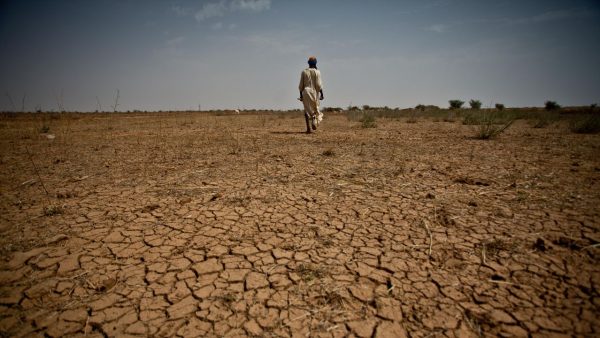 El Niño: The fire and the fury