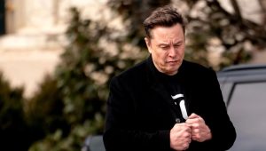 US seeks to support Musk against EU penalty