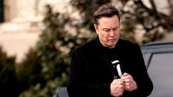 US seeks to support Musk against EU penalty