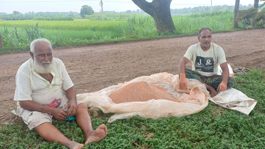 Fertiliser shortage hits Meherpur farmers during vegetable season