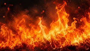 Fire damages Rooppur nuclear project server room