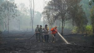Super El Niño could cause 451,000 deaths by 2027