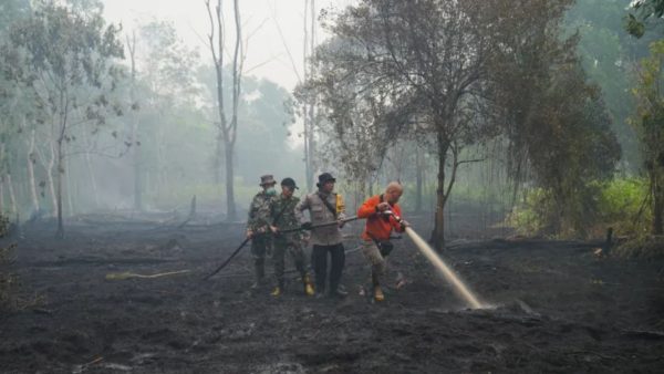 Super El Niño could cause 451,000 deaths by 2027