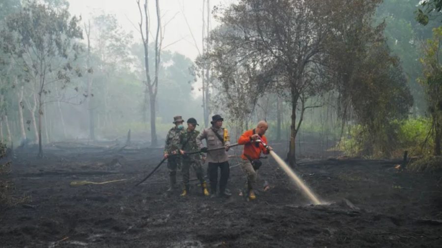 Super El Niño could cause 451,000 deaths by 2027