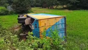 Mother, son among four killed in Gazipur road crash