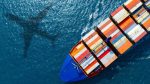 Global GDP could fall 10% without trade reform: WTO