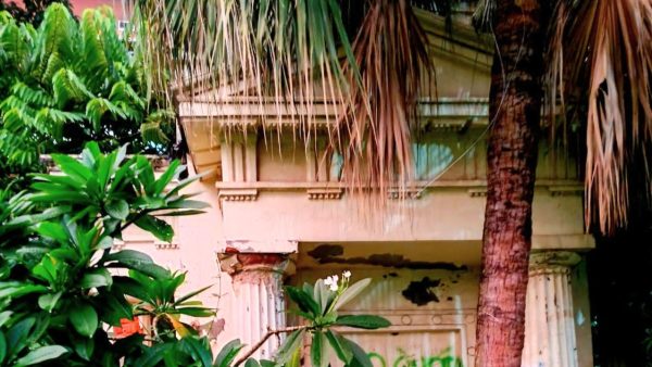 Vagabond vibes: Slice of Greek intrigue within Dhaka University
