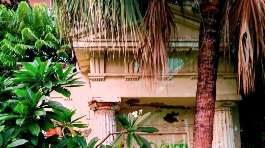 Vagabond vibes: Slice of Greek intrigue within Dhaka University