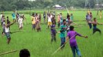 19 killed in eight months: Trivial disputes turn deadly in Habiganj