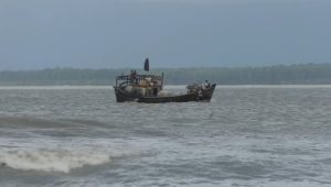Human cost of hilsa: Climate change, pollution drive fishermen to deadly seas