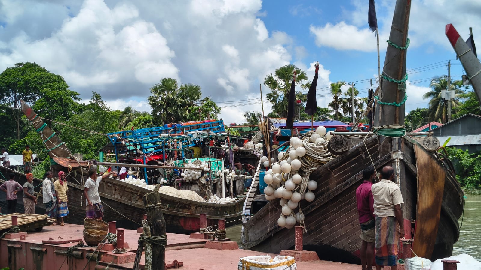 Hilsa season losses