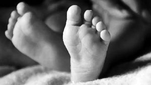 Padma hospital infant death: DGHS finds no initial negligence, orders full inquiry