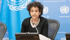Irene Khan reiterates PM’s call for stronger action on Rohingya crisis