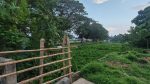 Encroachment leaves Kaliganga barely a river