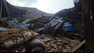 Lightning triggers fire, warehouse collapse at Kushtia rice mill