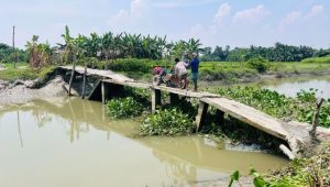 Bridge collapse leaves 5,000 villagers stranded in Lakshmipur