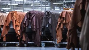 Govt plans graceful exit, LWG certification to revive leather sector