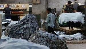 Govt maps leather sector overhaul
