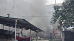 Fire breaks out at paint shop in Mohakhali