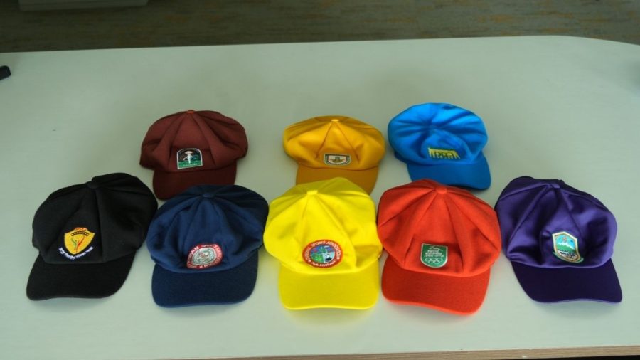 NCL teams to get designated-colour helmets