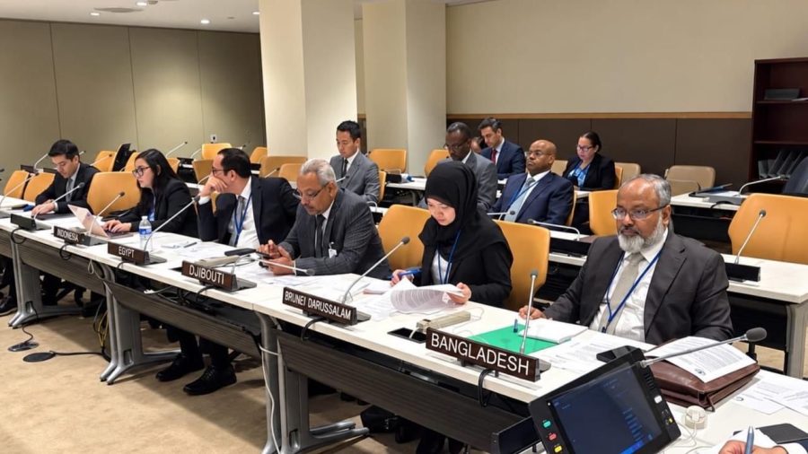 Bangladesh calls for urgent OIC support for Rohingya crisis