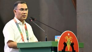 Some political parties trying to turn crises into chaos: PM