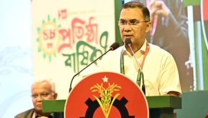 Some political parties trying to turn crises into chaos: PM