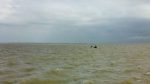 BSF rescues 10 Bangladeshis after Padma boat capsizes