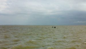 BSF rescues 10 Bangladeshis after Padma boat capsizes