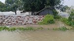 Padma swells near danger mark, lowlands submerged