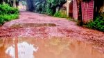 Potholes plague Sonargaon museum road