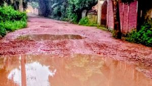 Potholes plague Sonargaon museum road