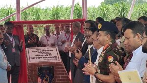 President lays foundation stone of Thakurgaon University