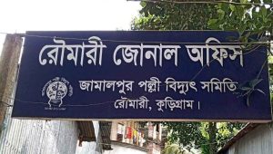Consumers complain of inflated bills, prolonged power cut in Rowmari