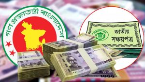National savings payments to get automated account verification
