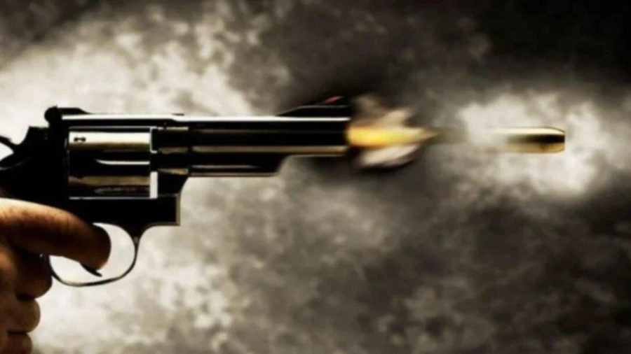 At least 27 killed in two mass shootings in South Africa