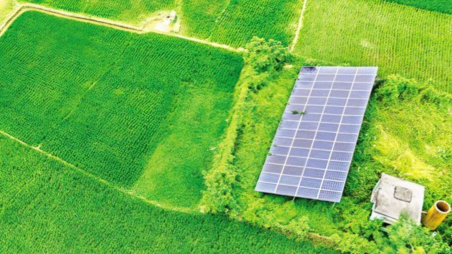 Solar-powered pumps cut irrigation costs in Jhenaidah