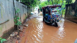Tender delay leaves Sonargaon road in ruins