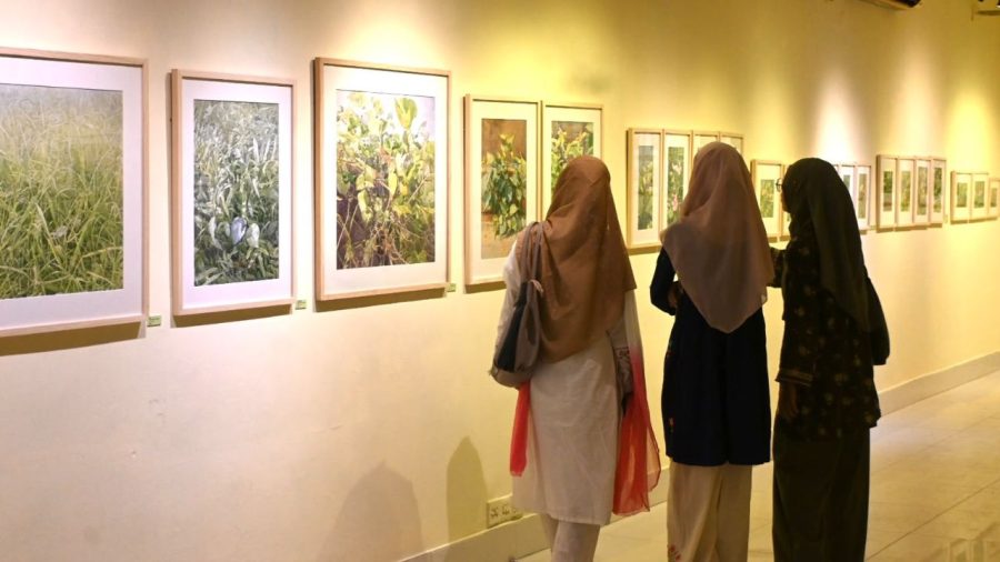 ‘Splendor of Green’ turns La Galerie into a garden of paintings