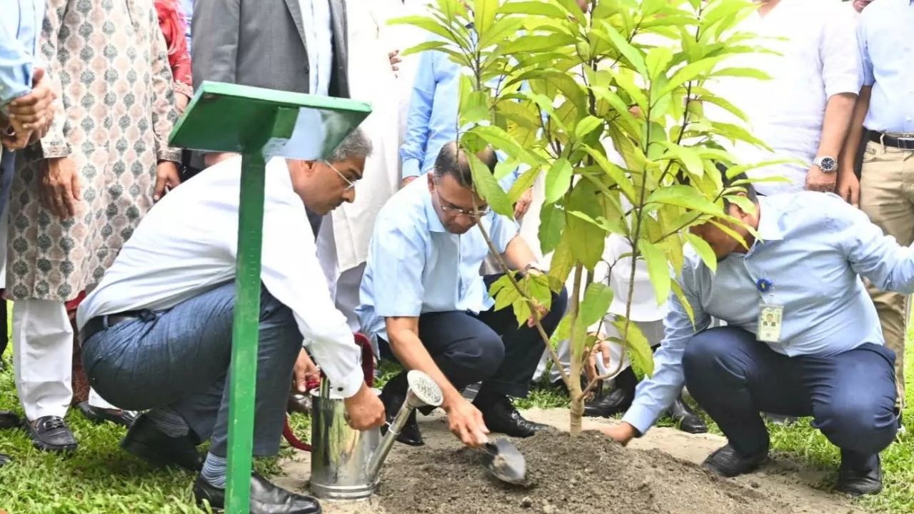 Tarique plants tree, releases fish on BNP anniversary