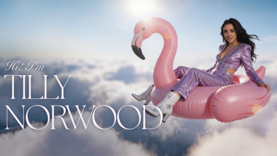 Tilly Norwood interview leaves Hollywood unimpressed