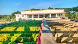 Tk9cr water treatment plant lies idle, locals endure foul supply