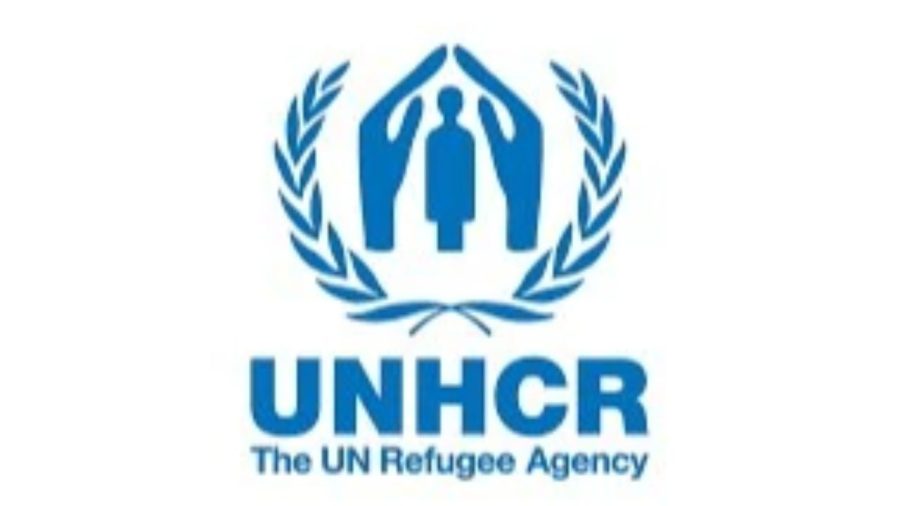 UN urges global backing for Rohingya solution