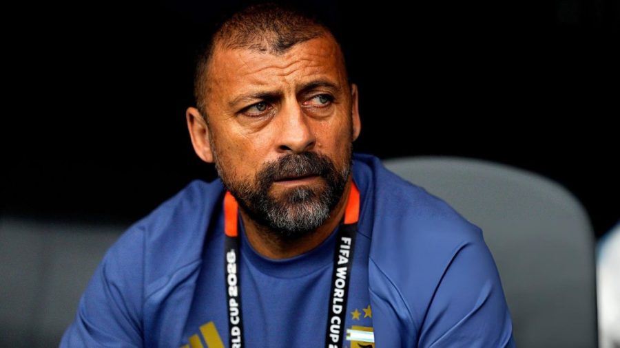 Walter Samuel set for Argentina coaching exit