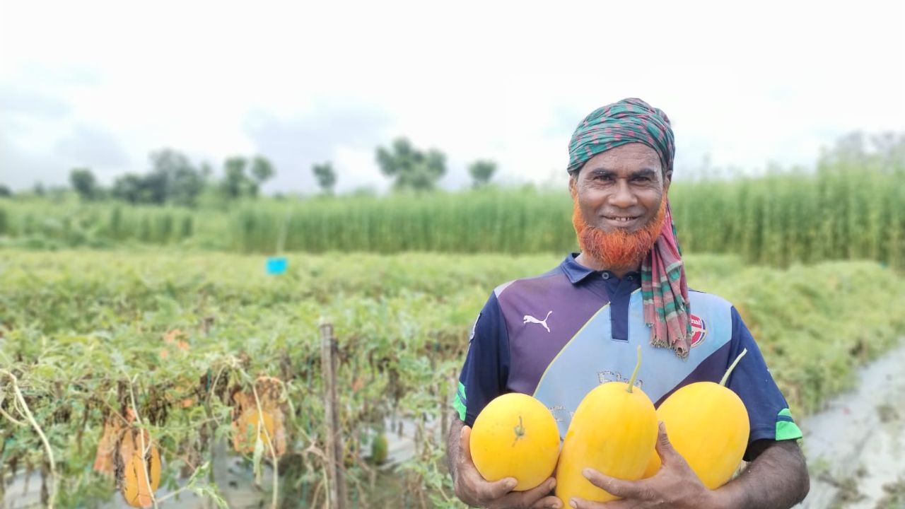 Off-season watermelon farming gains ground in Satkhira