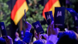 What AfD’s historic win means for Europe