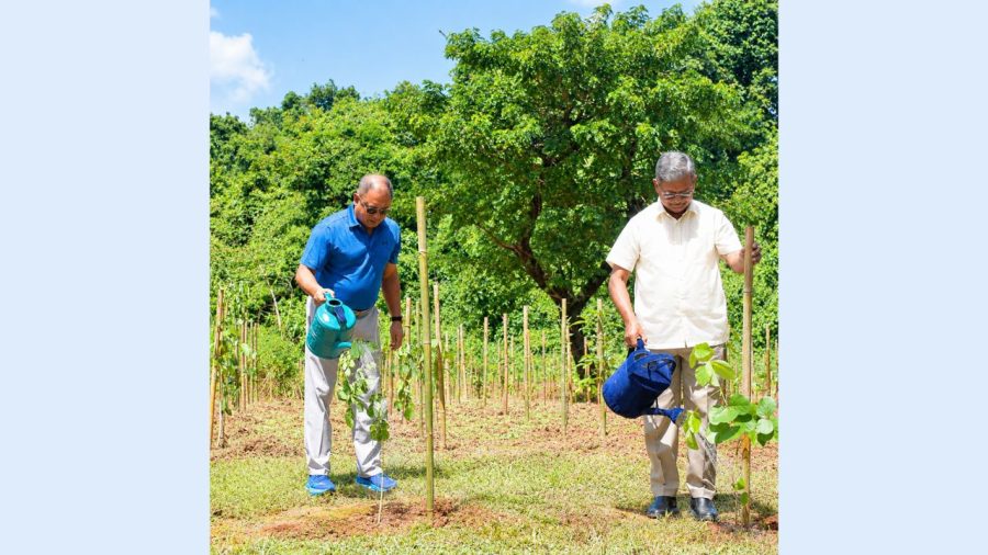 bKash Forest links app transactions to real trees