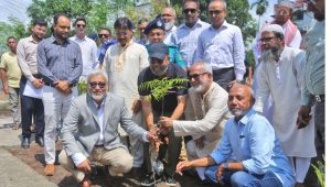 bKash, KCC to plant 25,000 trees
